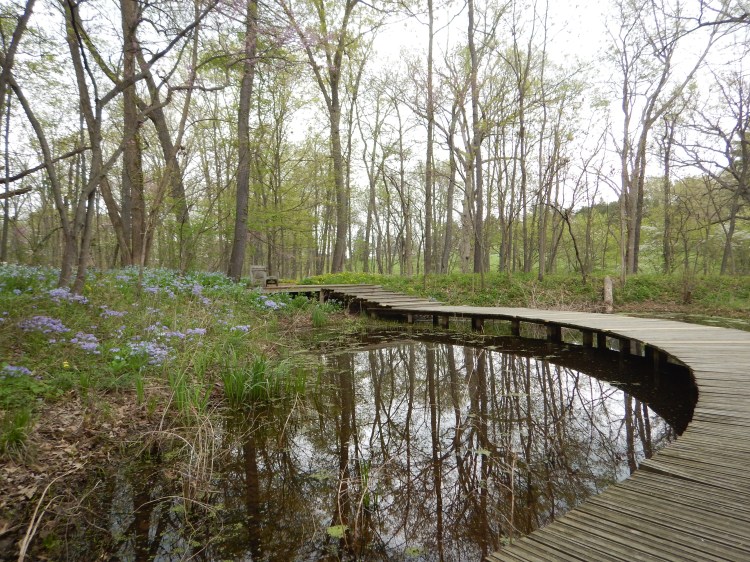 Bridge over troubled water
