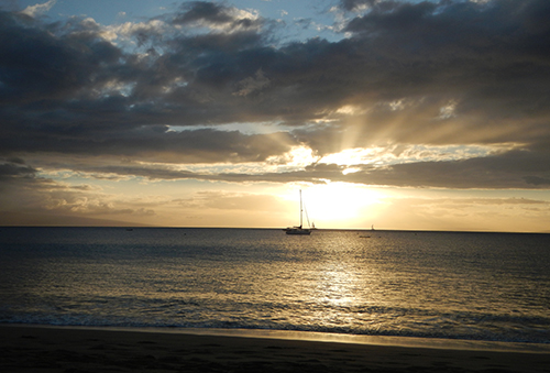 Photography thumbnail image